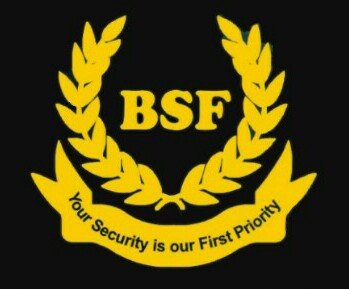 Big Security Force logo